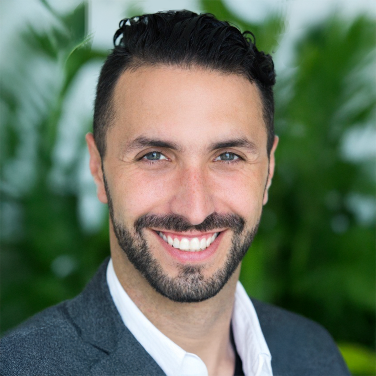 Daniel Viranyi company